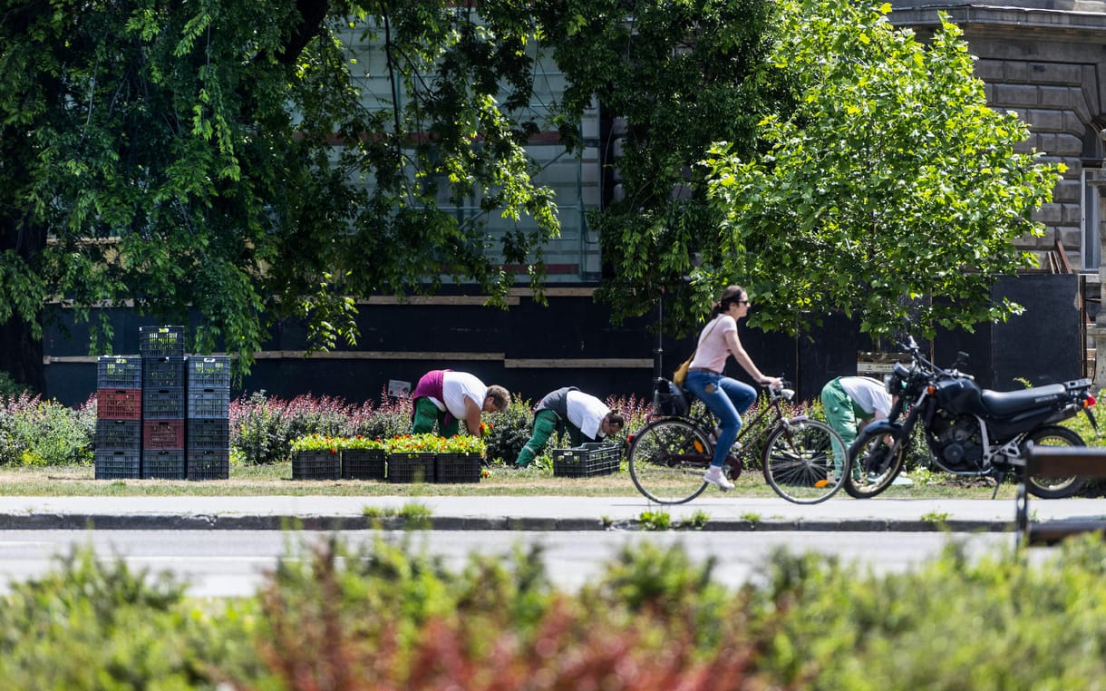 Így működött az óbudai közbeszerzési visszaosztás a vallomások szerint
