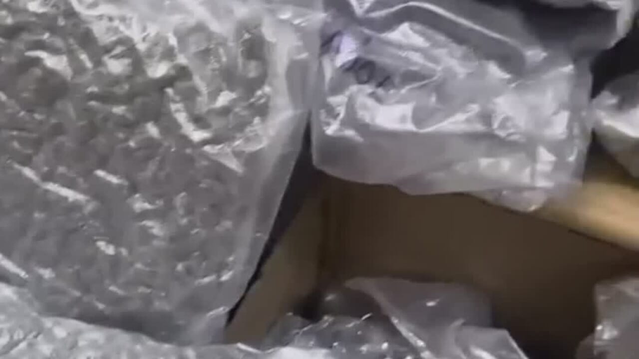 Civitavecchia, camionista bulgaro arrestato con 80 kg di marijuana nascosta tra vestiti