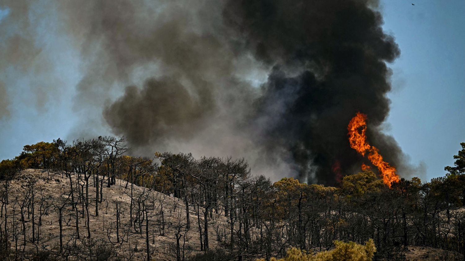 Plusieurs personnes interpellées pour des incendies volontaires dans le Rhône et l'Hérault