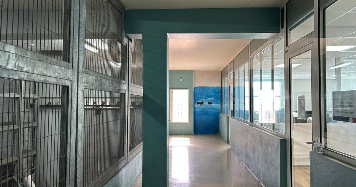 Deux jeunes écopent de peines de prison pour des livraisons de stupéfiants par drone à Fond-Sarail