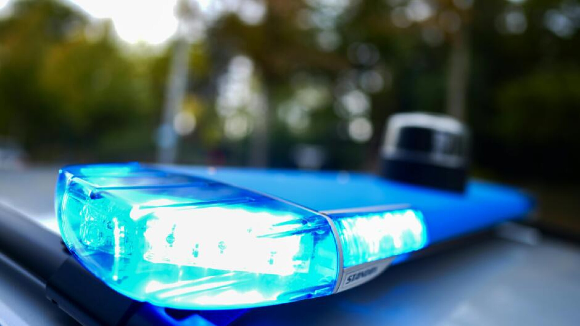 Festnahme nach Fund von eingemauerter Leiche in Niederösterreich