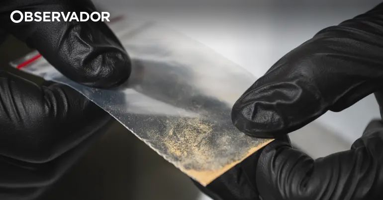 Dois homens em prisão preventiva por tráfico de droga em Odemira