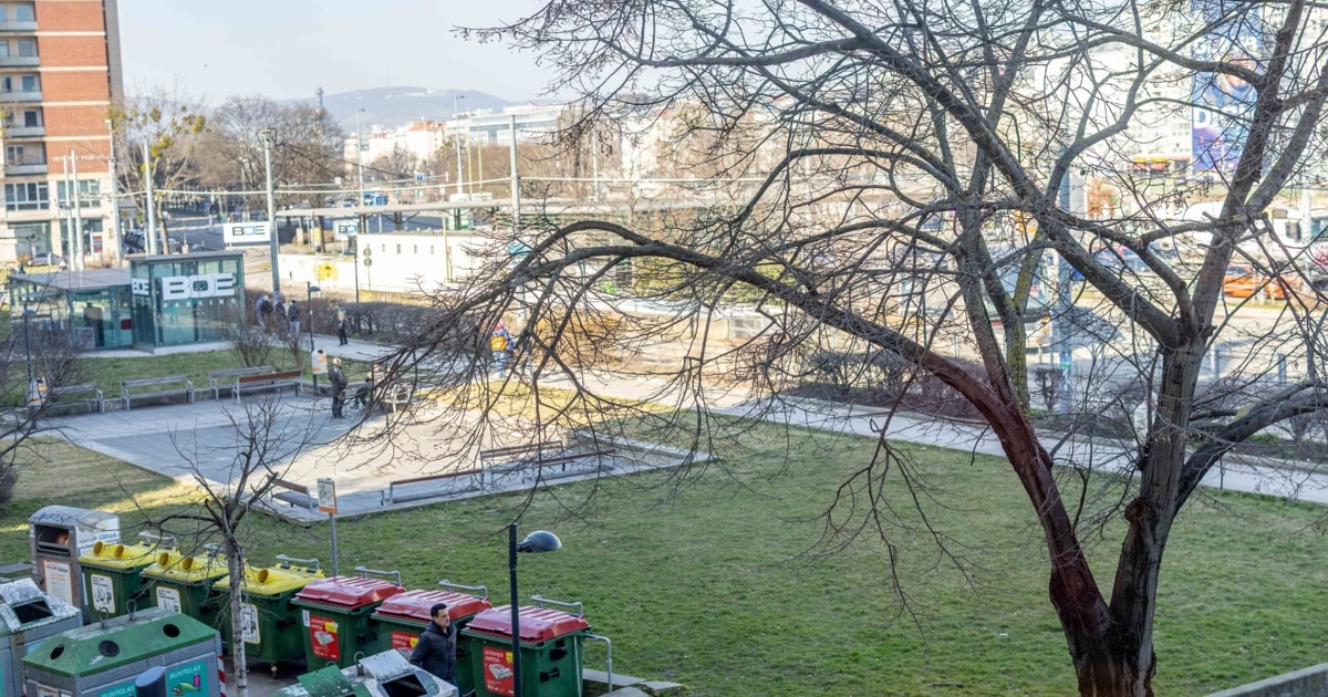 Wien: 21-Jähriger nach mutmaßlicher Vergewaltigung von Minderjähriger in Haft