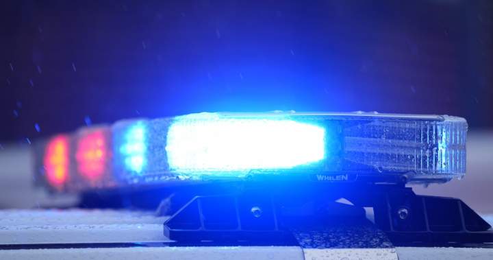 Youth Held Following Domestic Fatality in Eastern Quebec