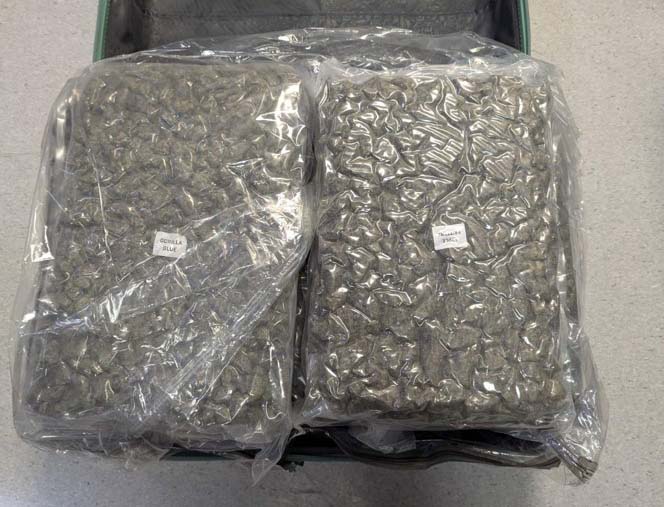 26-year-old loses appeal against 14-year drug sentence