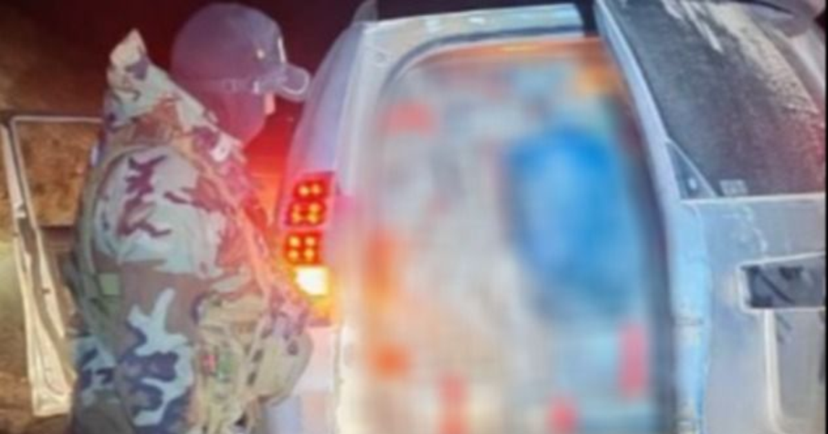 Decomisan medio millón de gramos de cannabis en carretera de Oruro