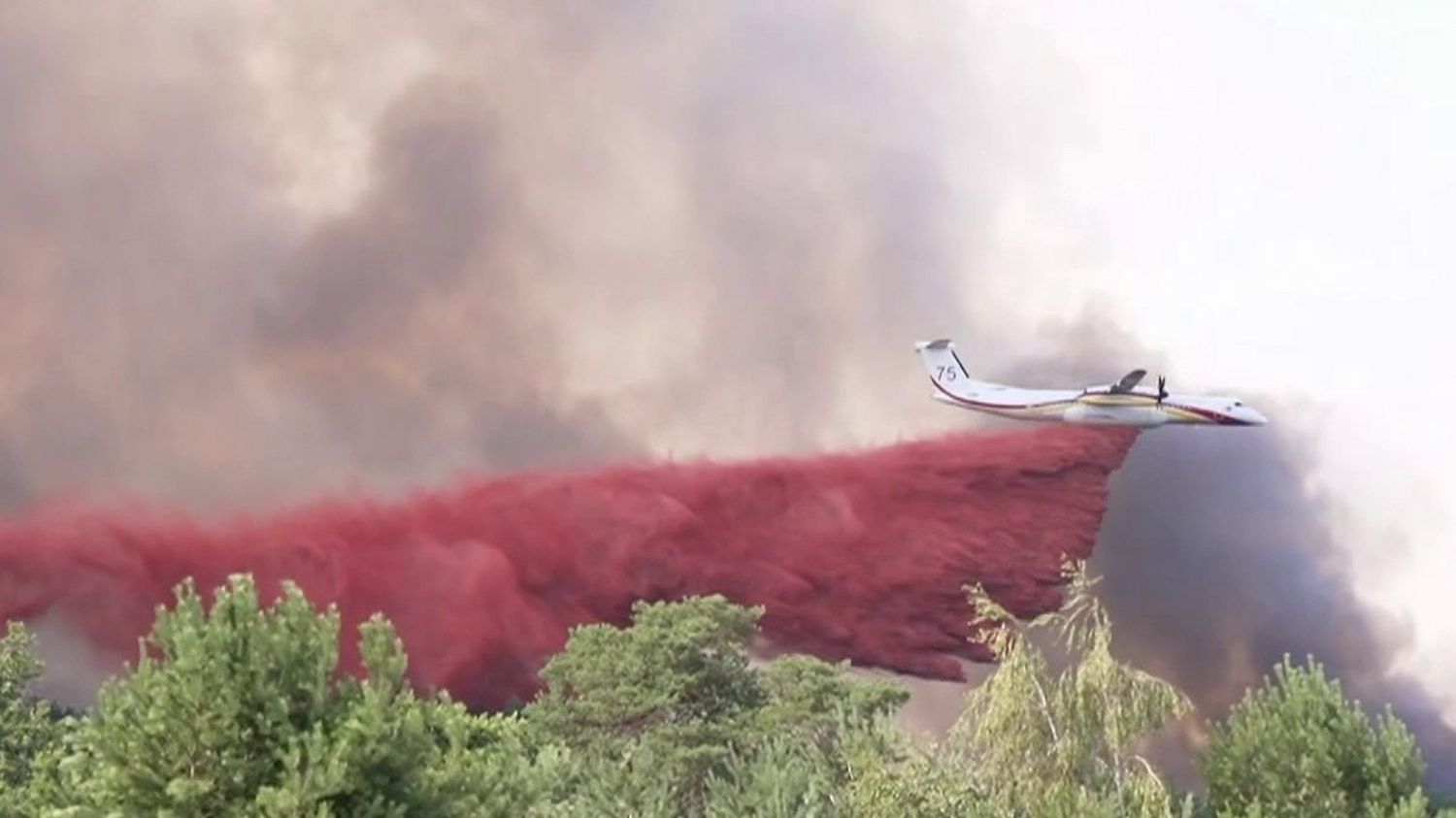 Incendie de Fontainebleau : la piste criminelle privilégiée
