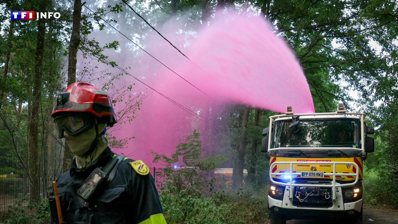 Deux suspects arrêtés après l'incendie de la forêt de Fontainebleau