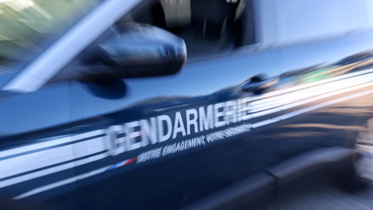 Deux trafiquants de cocaïne condamnés à Marseille après une interpellation à La Destrousse