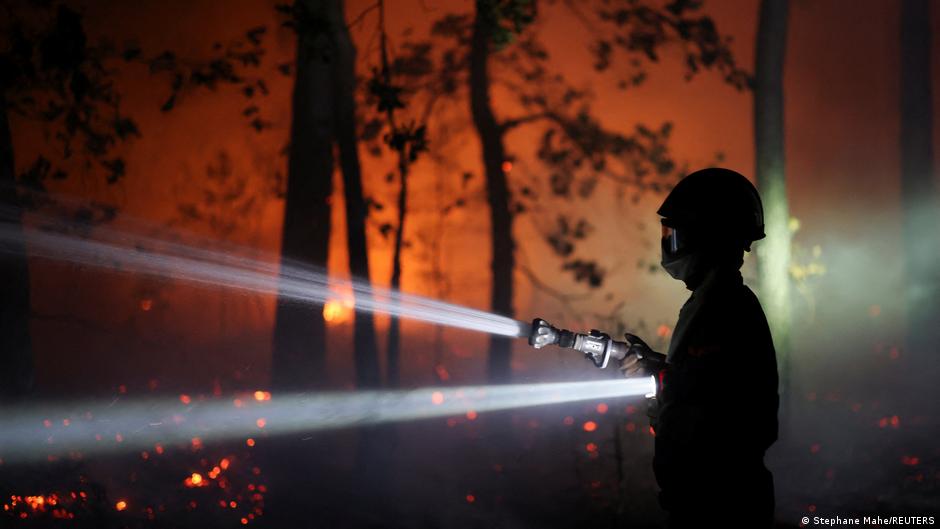 Deux suspects arrêtés pour incendie criminel dans la forêt de Fontainebleau