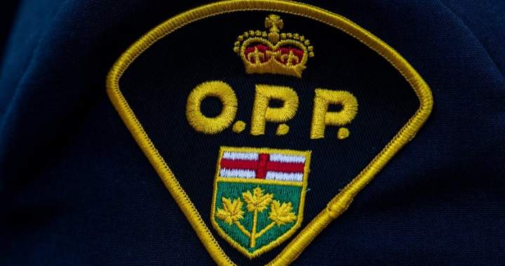 Huntsville woman charged with cheque fraud targeting 101-year-old resident