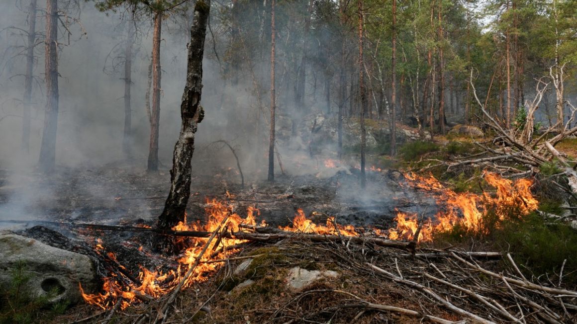Pompier volontaire parmi les suspects des incendies de Fontainebleau