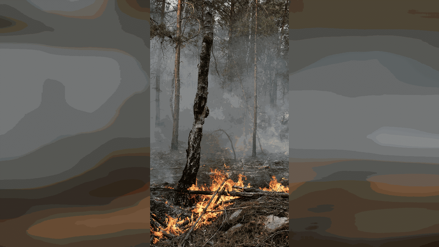 Un pompier volontaire reconnaît avoir allumé un feu à Fontainebleau