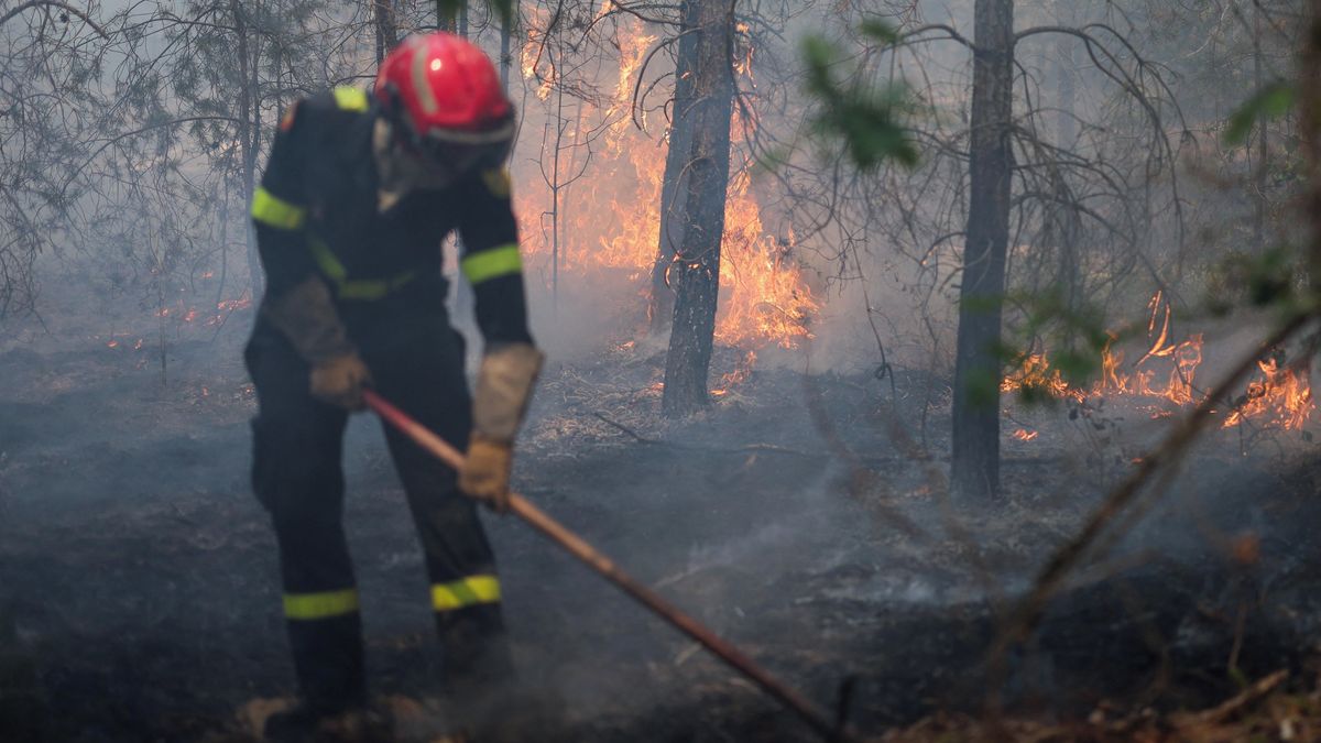 Deux suspects arrêtés pour incendies volontaires dans la forêt de Fontainebleau