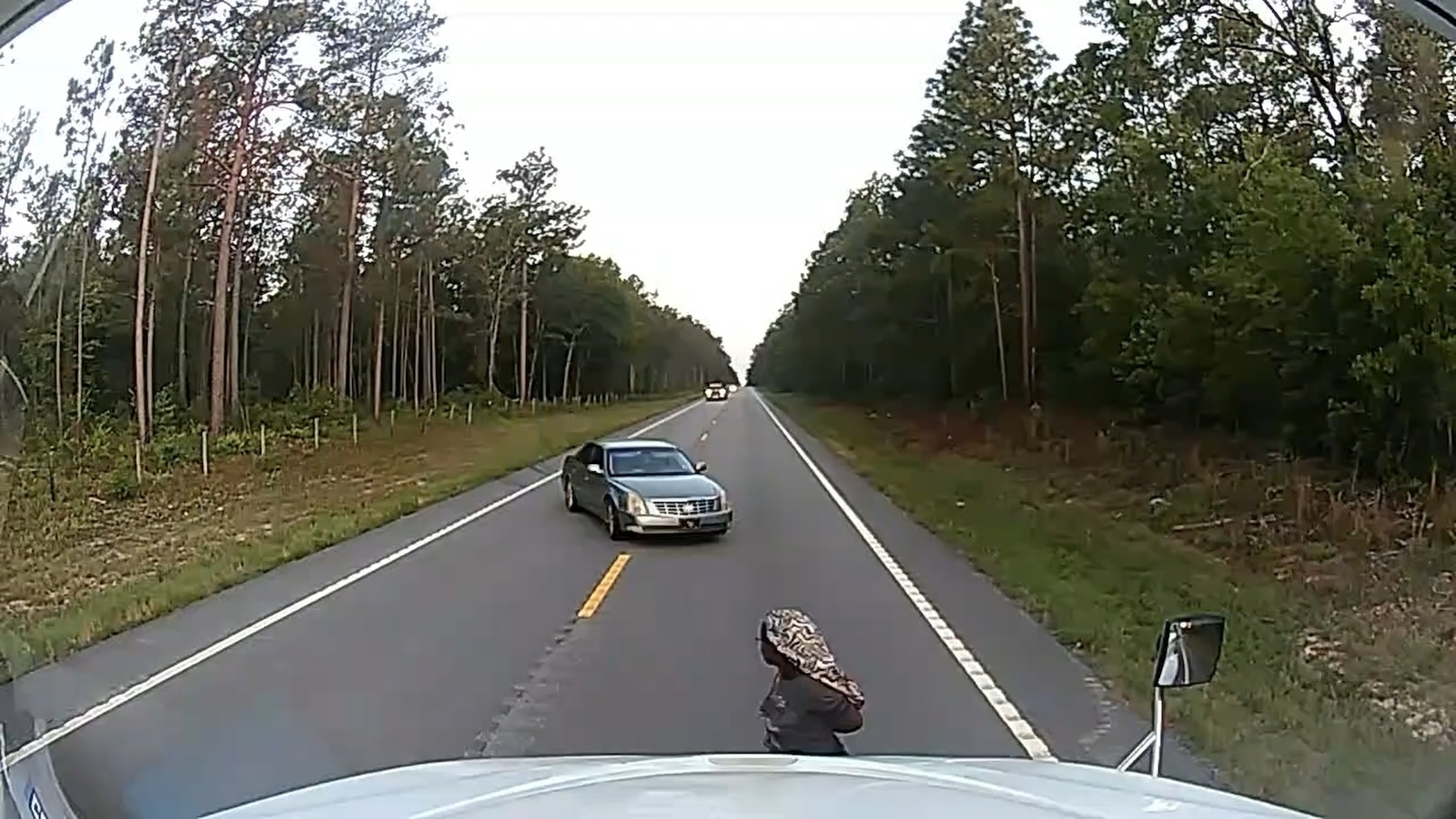 Truck Driver Helps Fleeing Woman in South Carolina