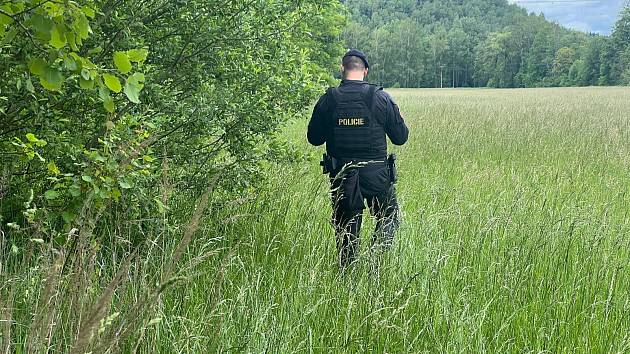 Podezřelá z rozčtvrcení dítěte v Kynšperku nad Ohří zadržena – matka