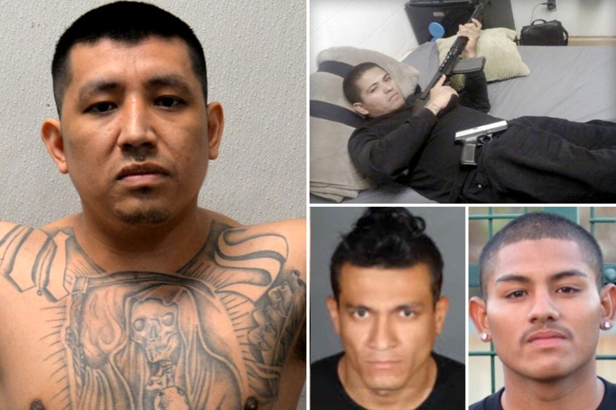 Four MS-13 Members Convicted in Three Brutal 2017 Murders in Southern California