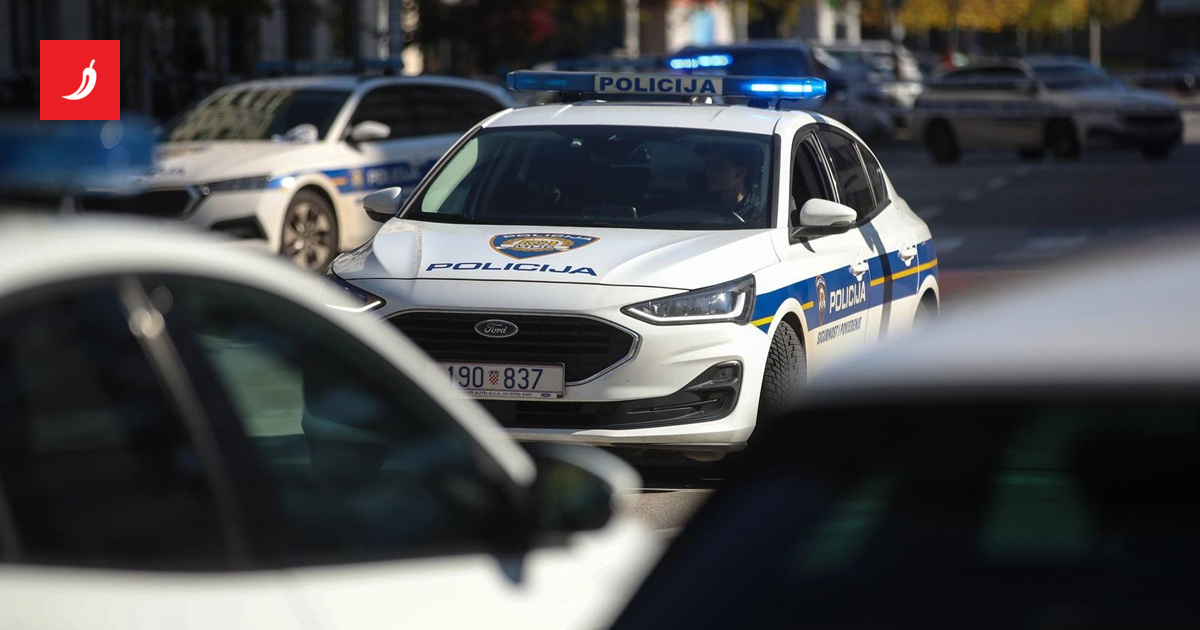 Uhićen 25-godišnjak iz Siska: godinu dana iznuđivao tinejdžera zbog lažnog duga