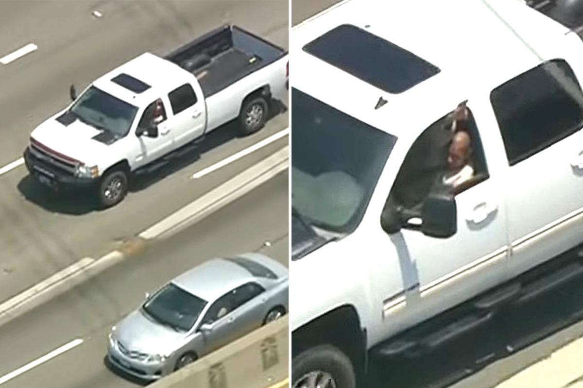 Carjacking suspect caught by K-9 after 2.5-hour chase on LA's 10 Freeway