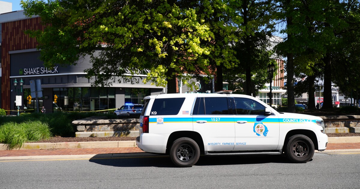 Fatal shooting on York Road in Towson: gunman still at large
