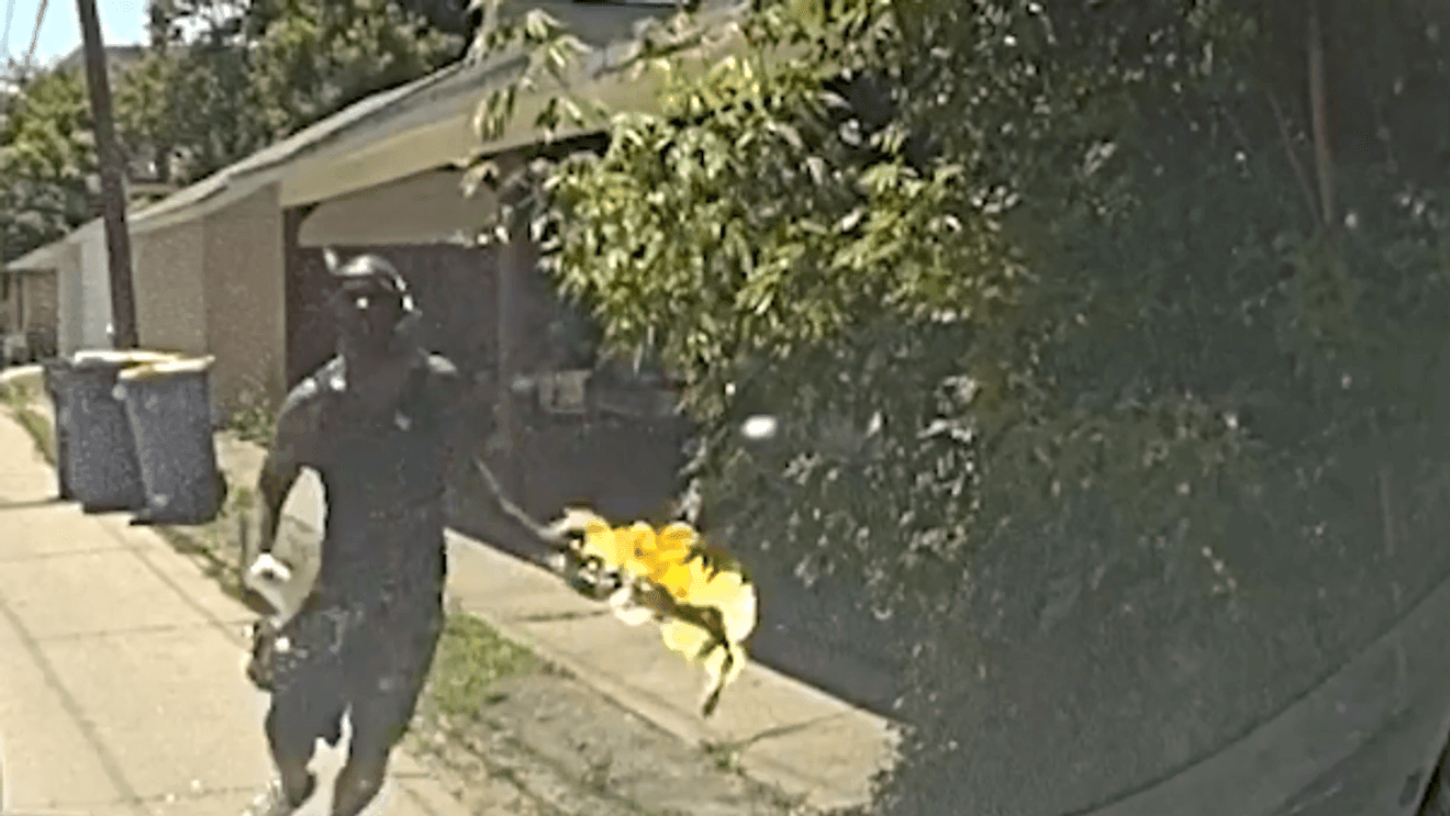 Grand Rapids man throws Molotov cocktail at police, stabs K-9 before being shot