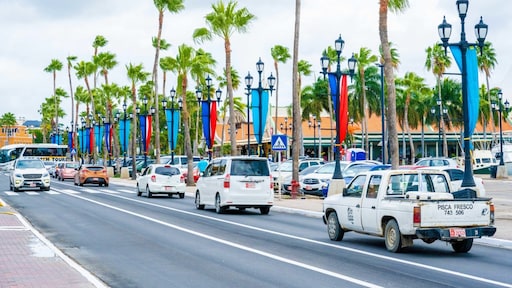 Twee agenten op Aruba veroordeeld tot drie jaar cel voor doodschieten 19-jarige Ayden Lanoy