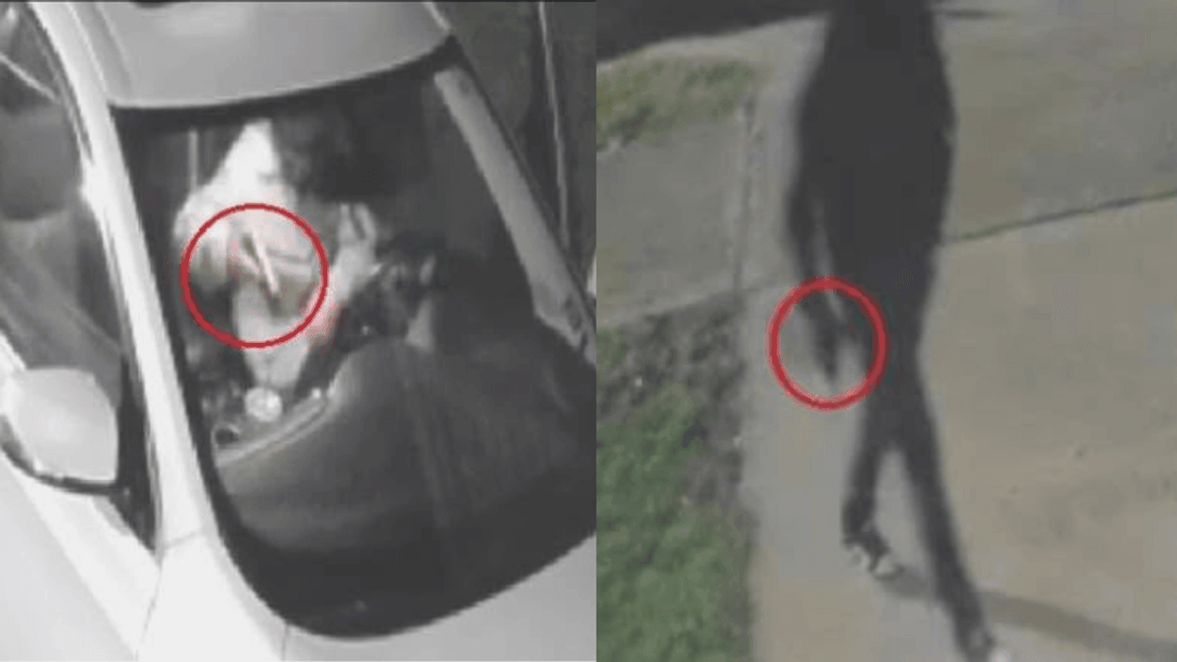 Seven firearms stolen in 20 vehicle burglaries across Georgetown neighbourhoods