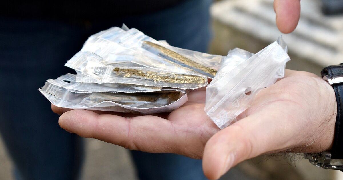 185 kilos de cannabis saisis : cinq hommes interpellés dans un trafic entre la Bretagne et la Martinique