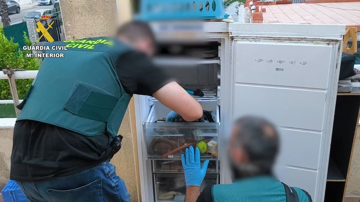 Clan familiar detenido en Oliva por tráfico de drogas y robos: cuatro arrestados y 3 kg de marihuana