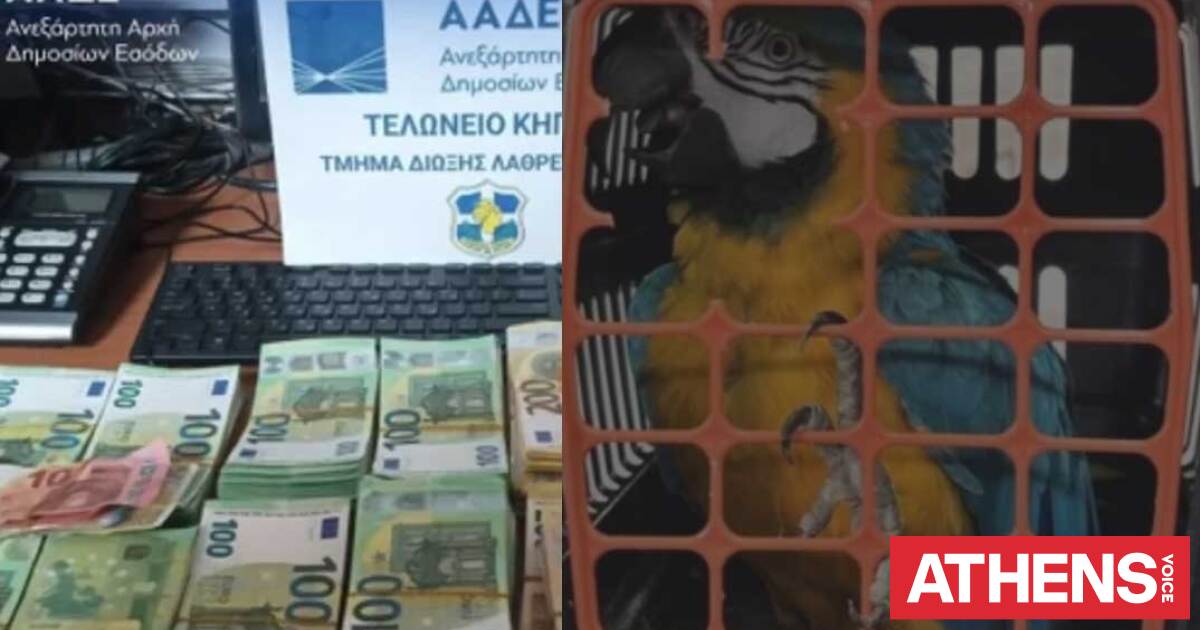 ΑΑΔΕ: Κατασχέσεις εκατομμυρίων ευρώ, 528 όπλων και ναρκωτικών σε αεροδρόμια και σύνορα