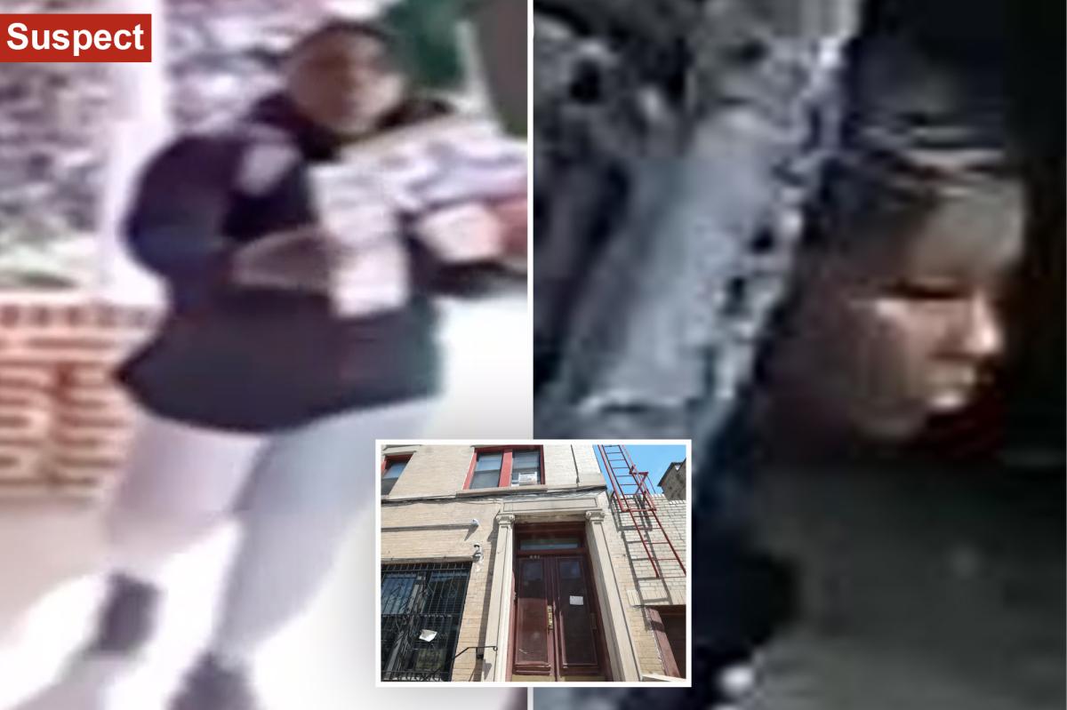 98-Year-Old Beaten with Broomstick in Brooklyn by DSA Campaign Worker, Woman Charged