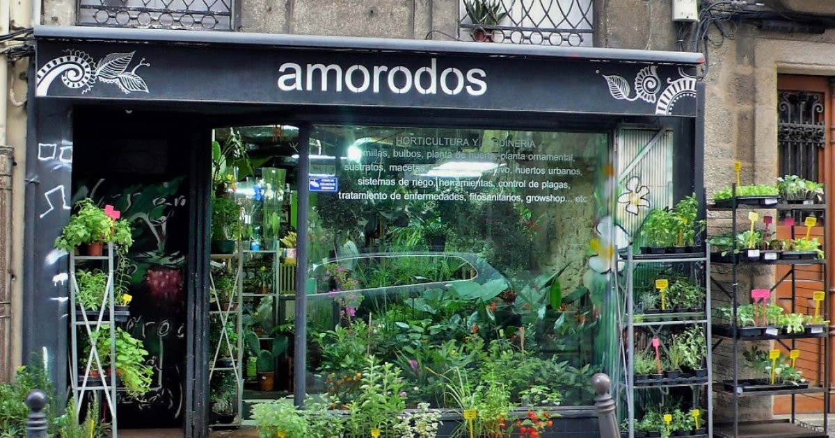 Red de narcotráfico usaba floristería en La Coruña como centro de distribución de droga