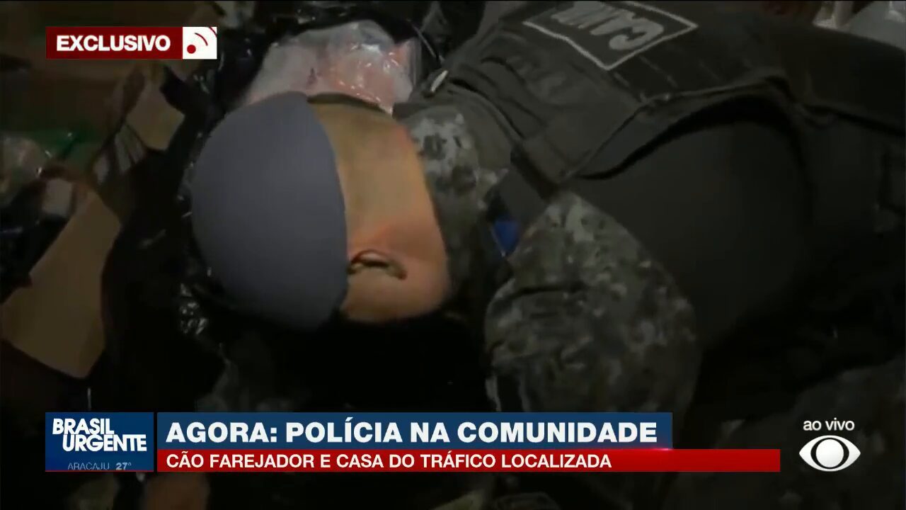 Cão farejador da PM localiza 'casa do tráfico' com mais de 150 kg de drogas