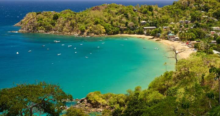 American Tourist Christopher Brown Stabbed to Death in Tobago Village of Castara