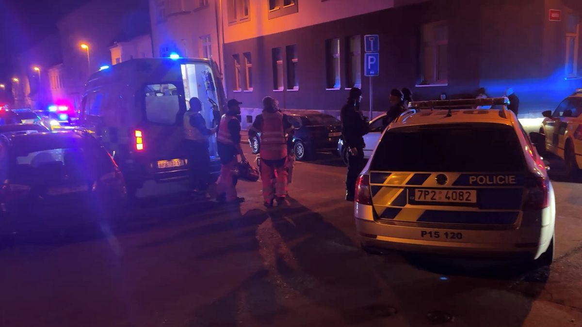Plzeňský útočník půjde před soud za opilství, přestože zabil bratra