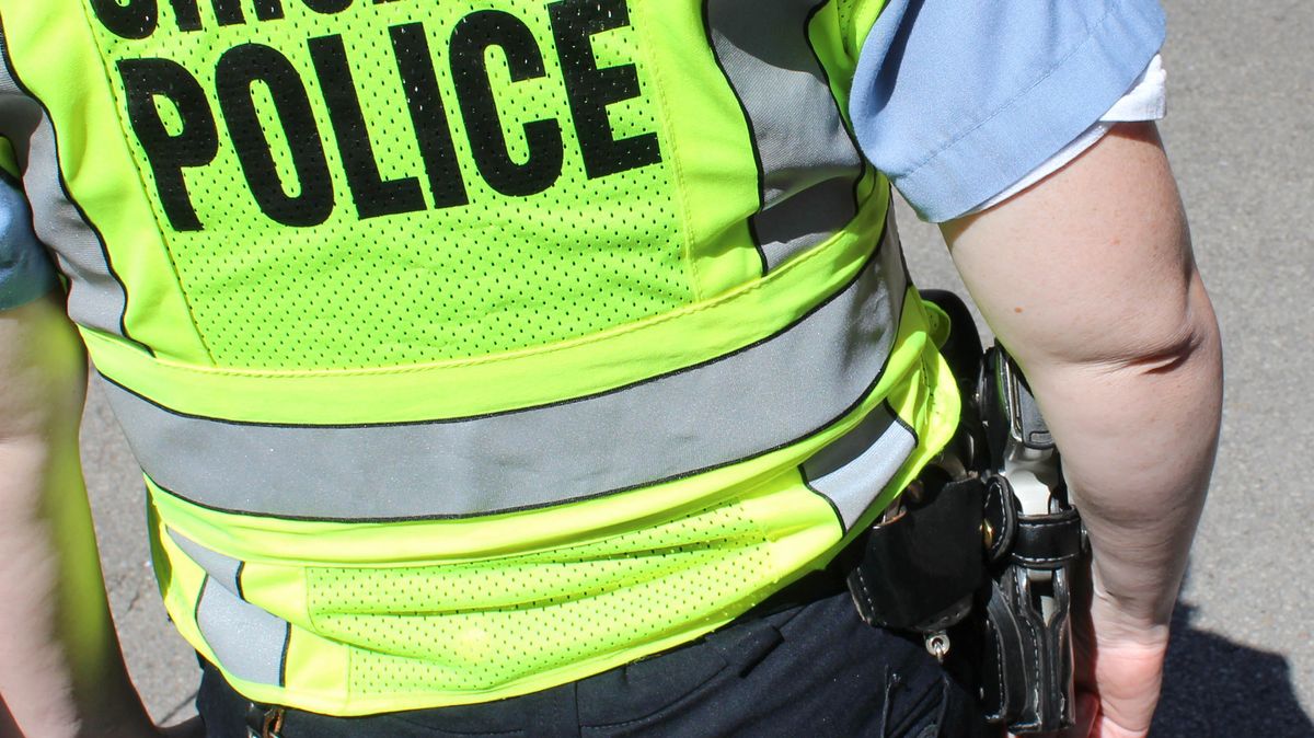 Child killed with baseball bat in Illinois while defending mother from violent partner