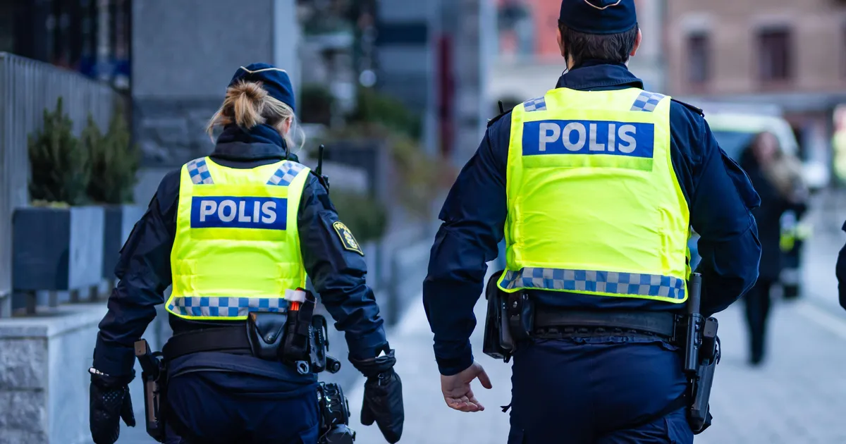 Ryska turister gripna vid Saab-chefs villa i Gävleborg