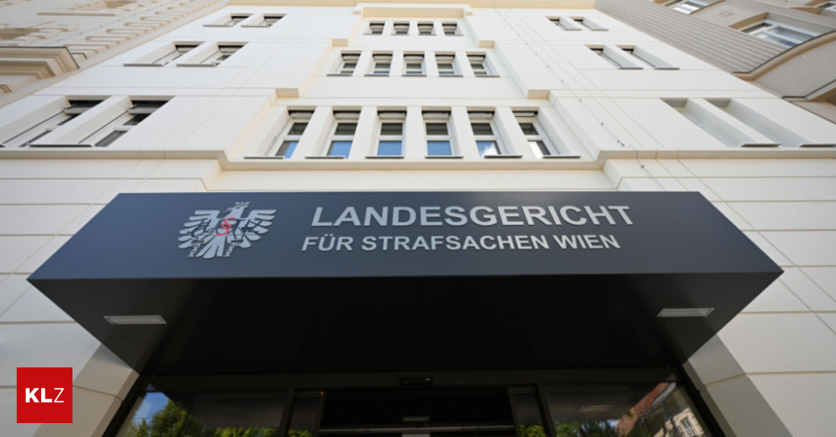 Prozess um getötete Seniorin in Döbling