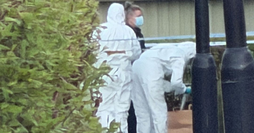 Man knivhuggen till döds i Söderhamn – 55-åring gripen för mord