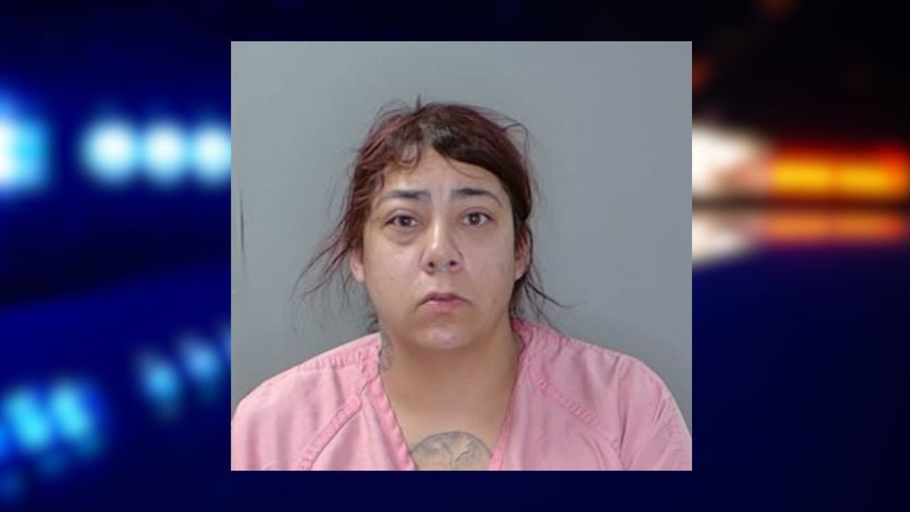 Two arrested for assault and kidnapping at Georgetown County park