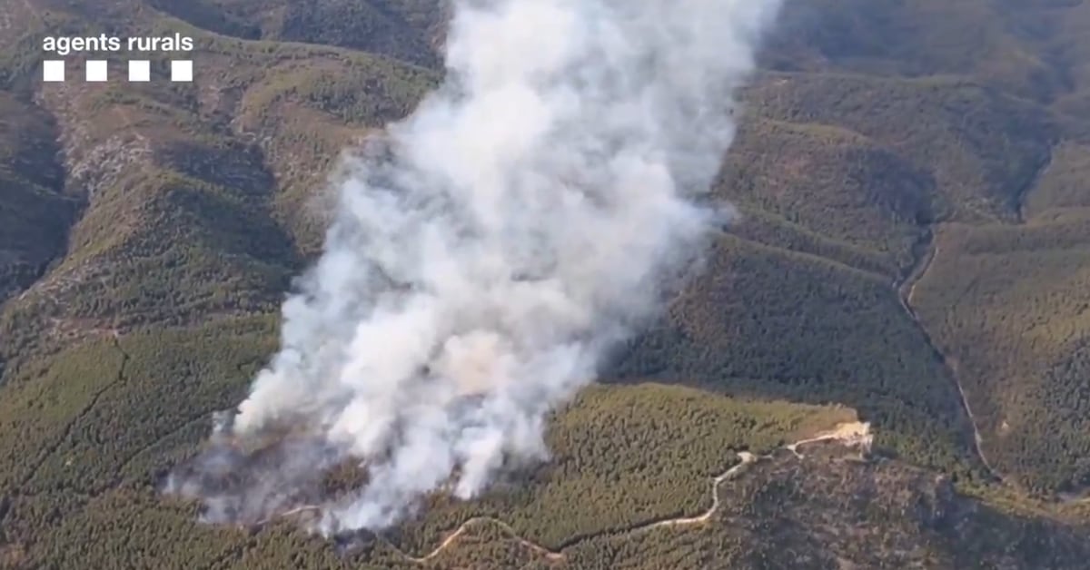 Detenido un hombre de 53 años por el incendio forestal de Castellví de la Marca