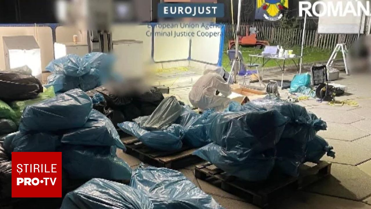Rețea de trafic de droguri destructurată: 1,7 tone confiscate, șapte arestați