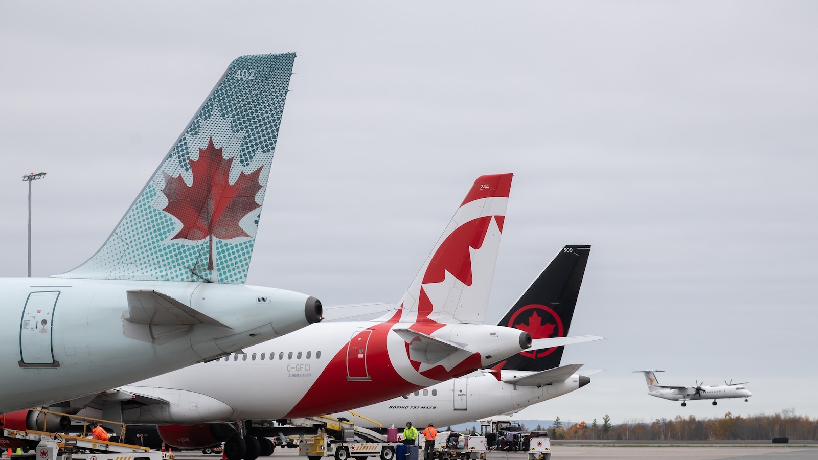 Air Canada aviator detained over accusations of operating aircraft with falsified credentials