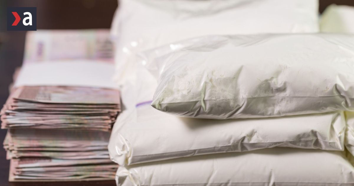 Chile incauta más de 100 toneladas de drogas ocultas en madera con destino a Europa