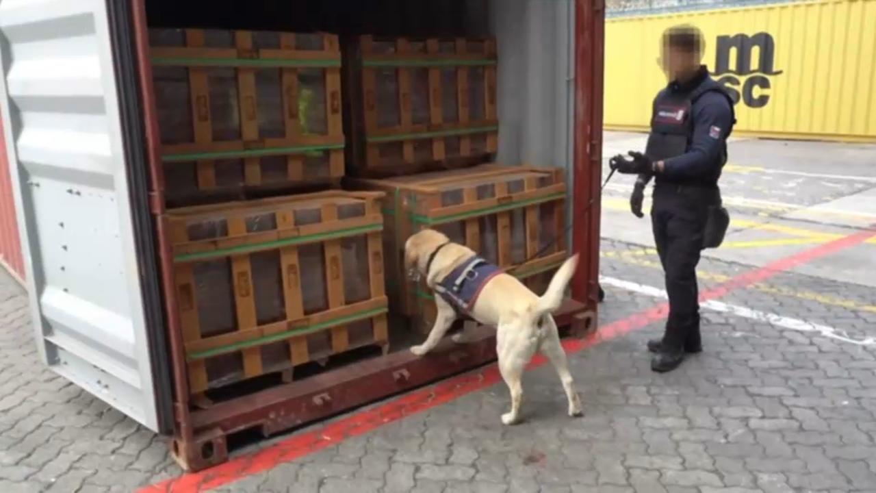 Más de 100 toneladas de drogas ocultas en madera para Europa: hallazgo gigante en Chile