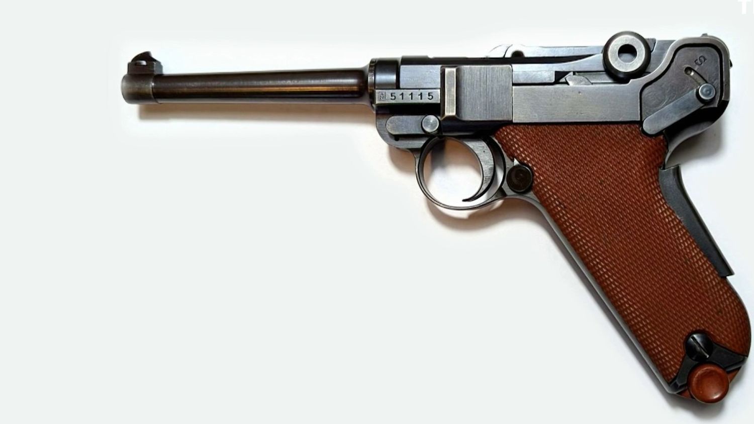 Tuerie de Chevaline : un pistolet Luger repêché dans le lac d'Annecy relance l'enquête