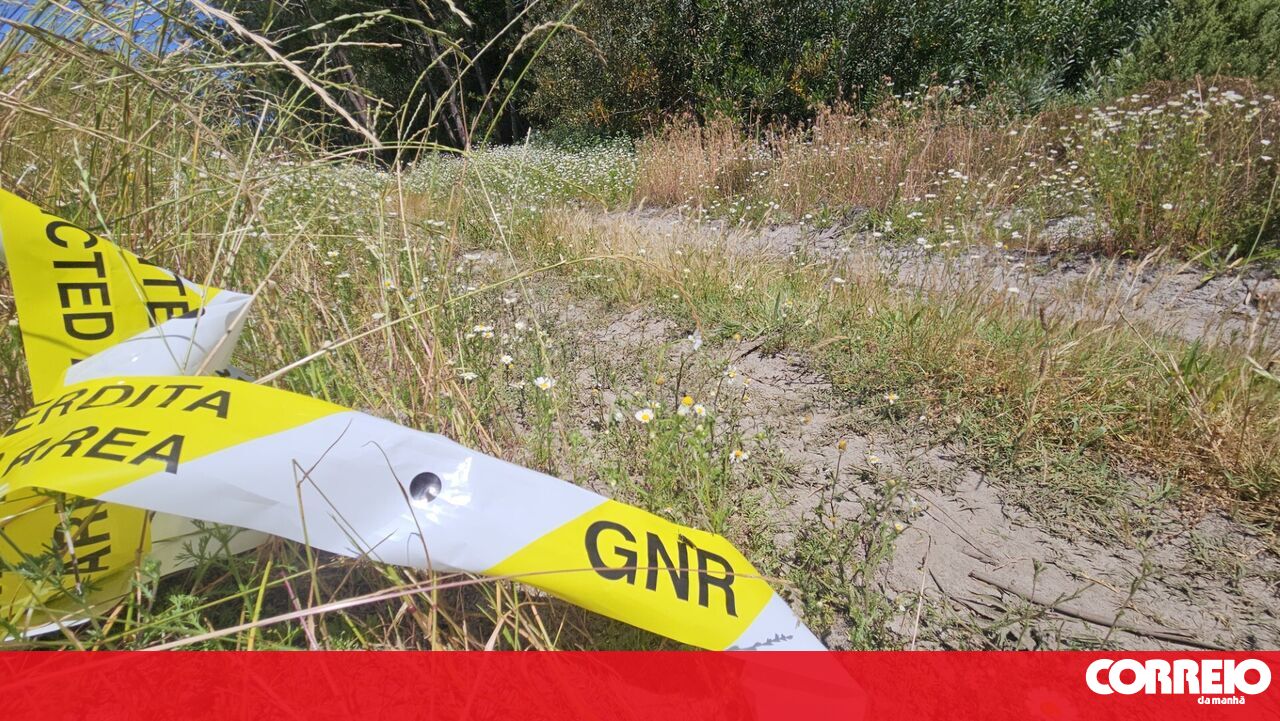 Cadáver encontrado em terreno agrícola em Montemor-o-Velho