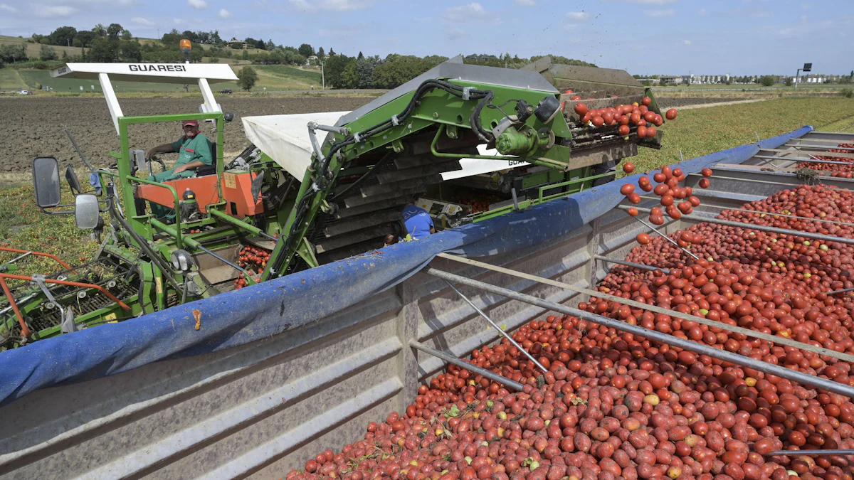 Quattro braccianti agricoli bruciati vivi nel Sud Italia