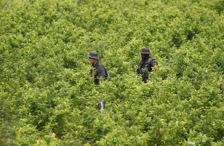 Nueve muertos en operación militar contra el Clan del Golfo en Colombia