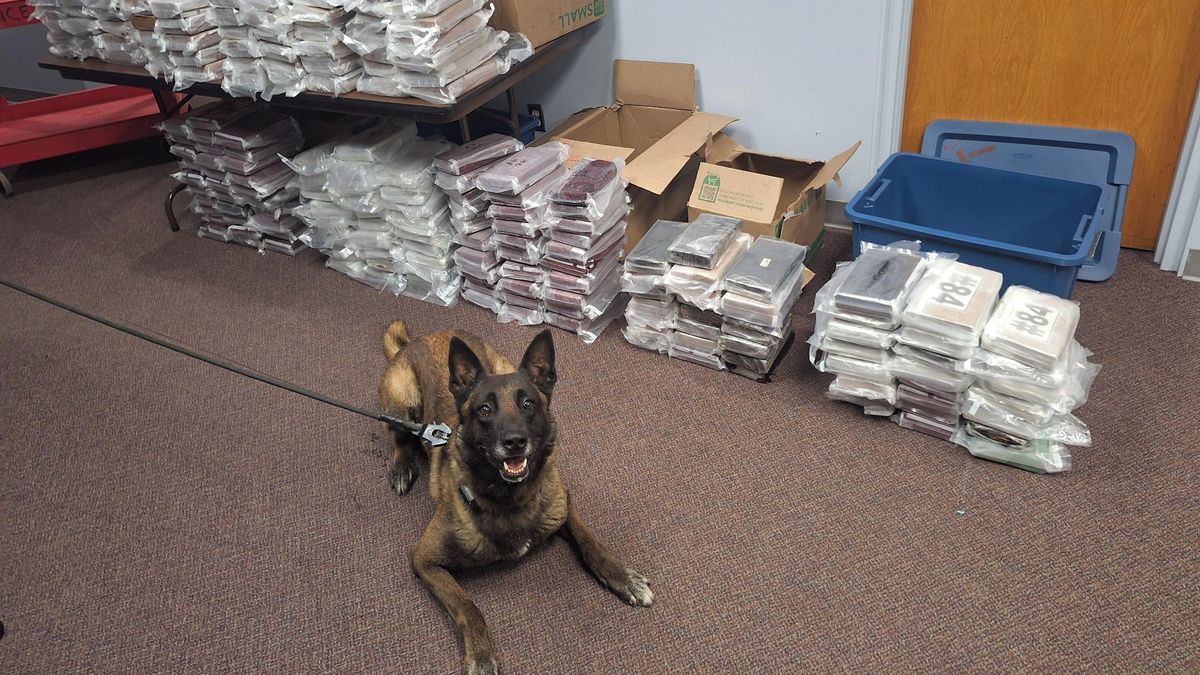 Nebraska Police Dog Sniffs Out 238 Kilograms of Cocaine During Highway Stop